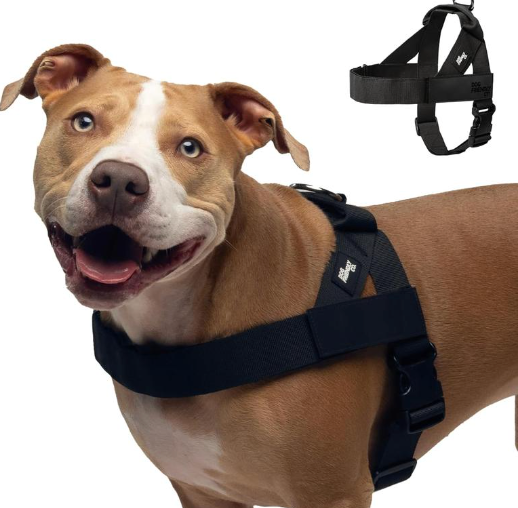 Dog Friendly Co. Harness - Easy to Fit No-Pull Design